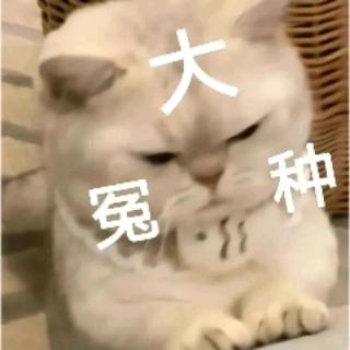 半糖༥