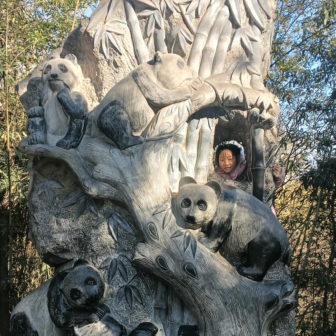 管理员