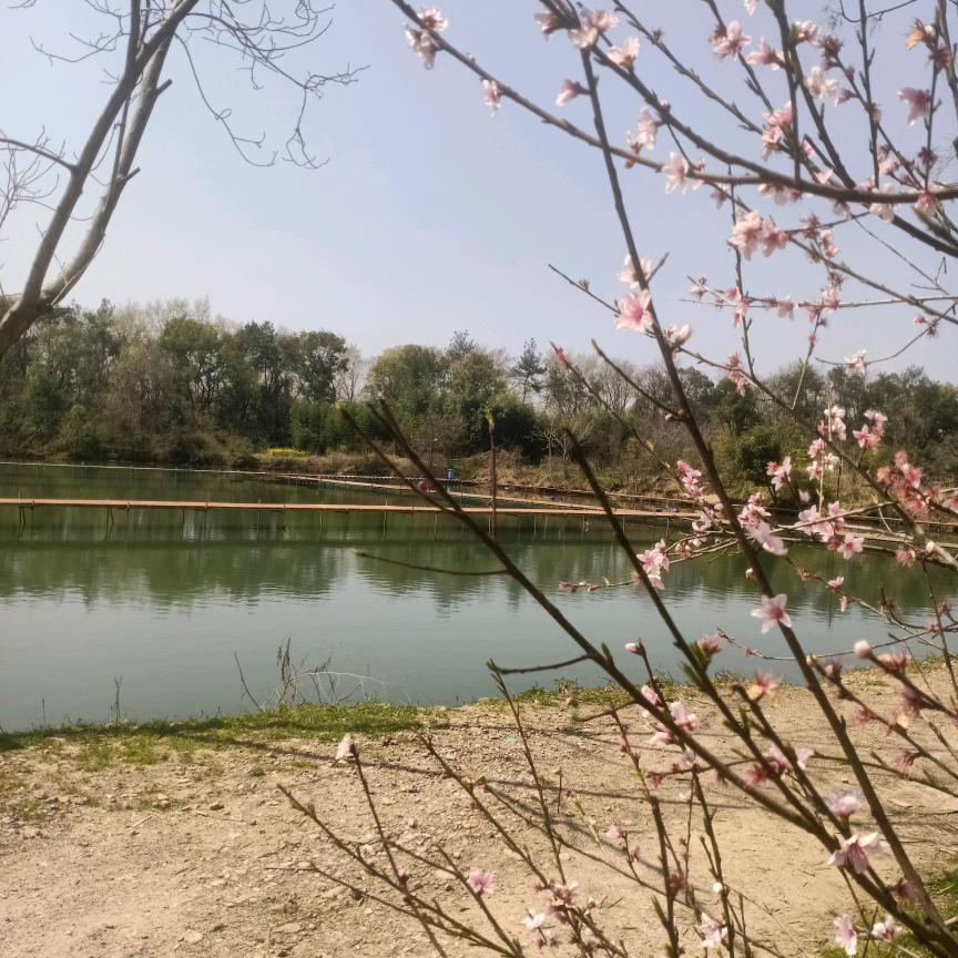 永康郎川龙之垂钓园