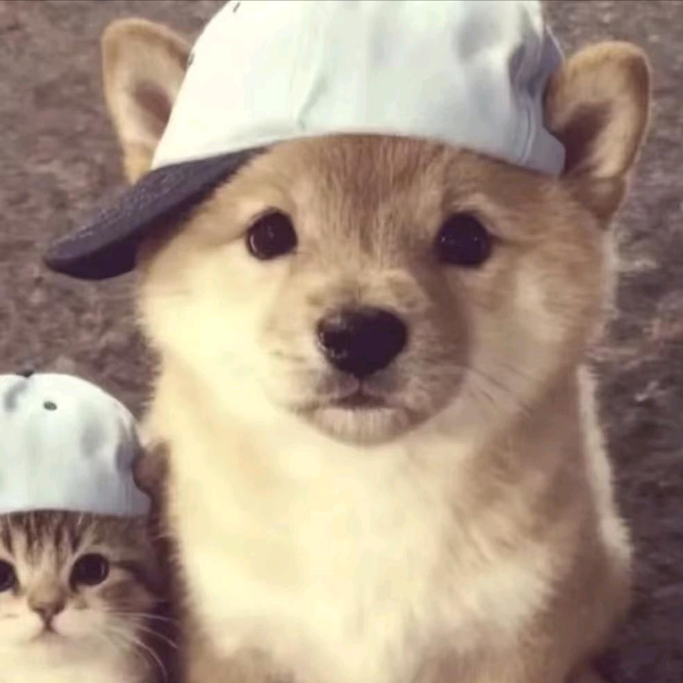 江亿亭