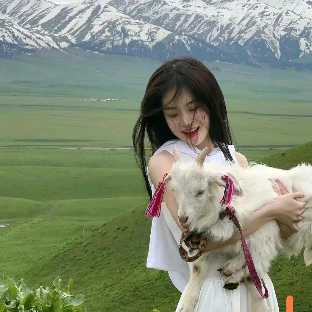 搞不清楚叫什么