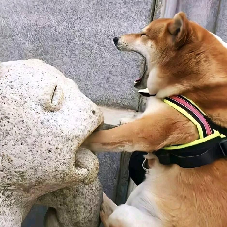 社交牛逼郑