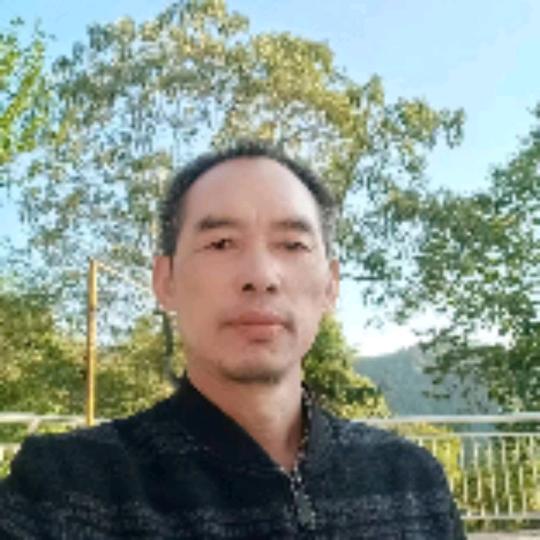 舒权辰