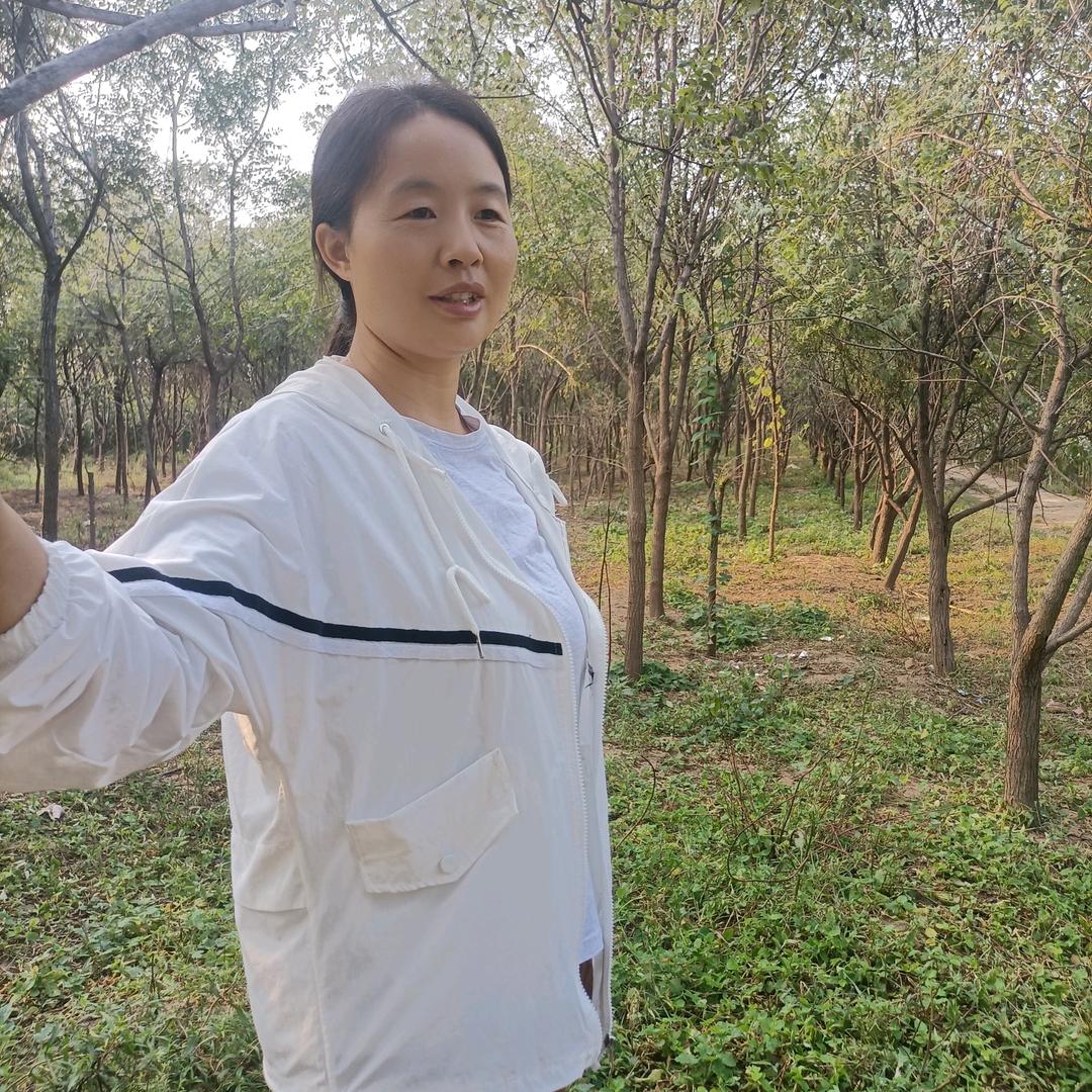 红蜻蜓