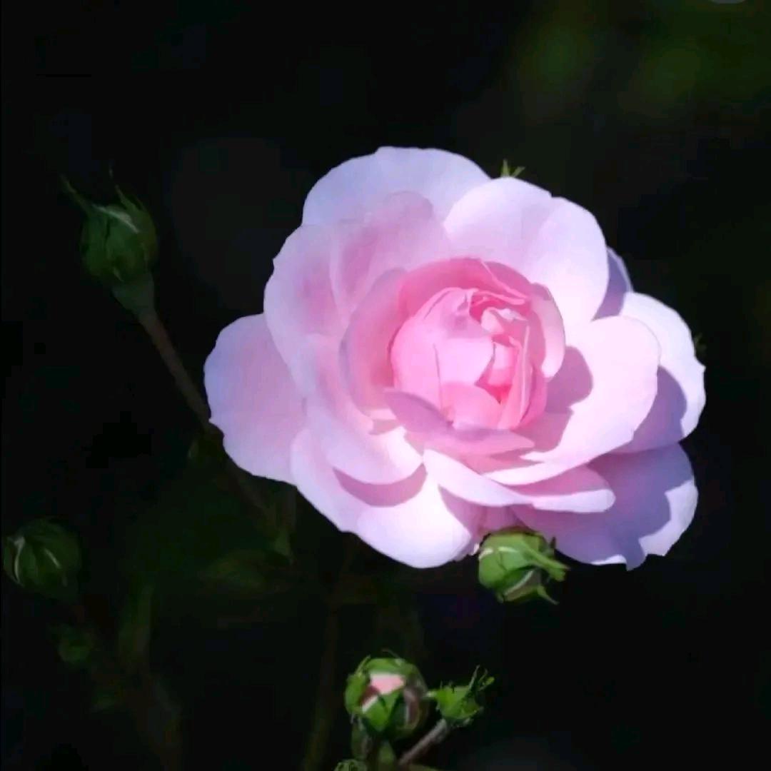 冷暖自知