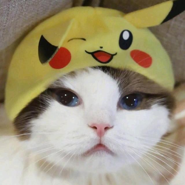 叉叉大王