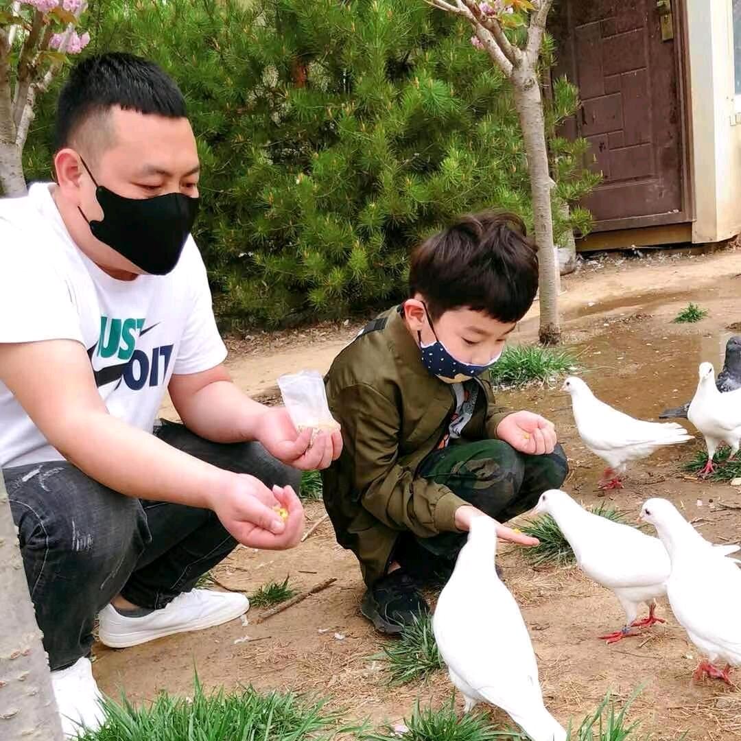 孤独的狼🐺