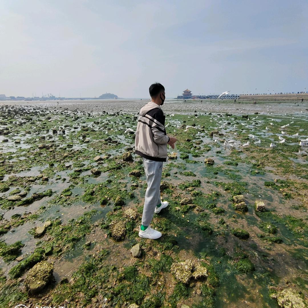 面包