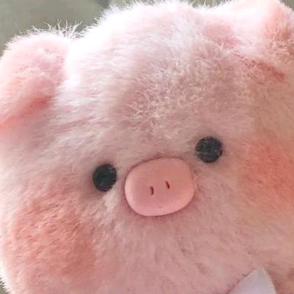 五行我是二加二