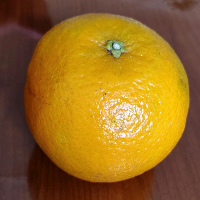 跑调哥