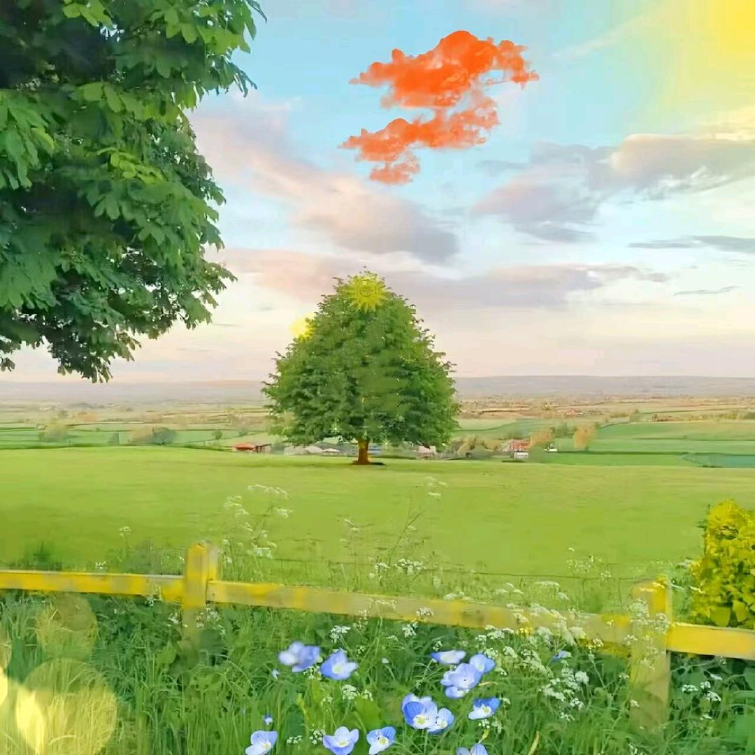 黄三哥（南昌拌粉  瓦罐煨汤）