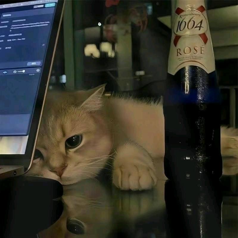 王，。。。，
