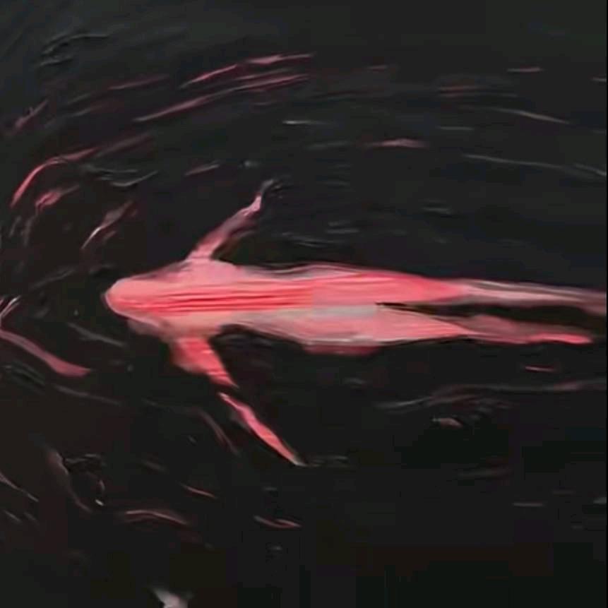 七海，