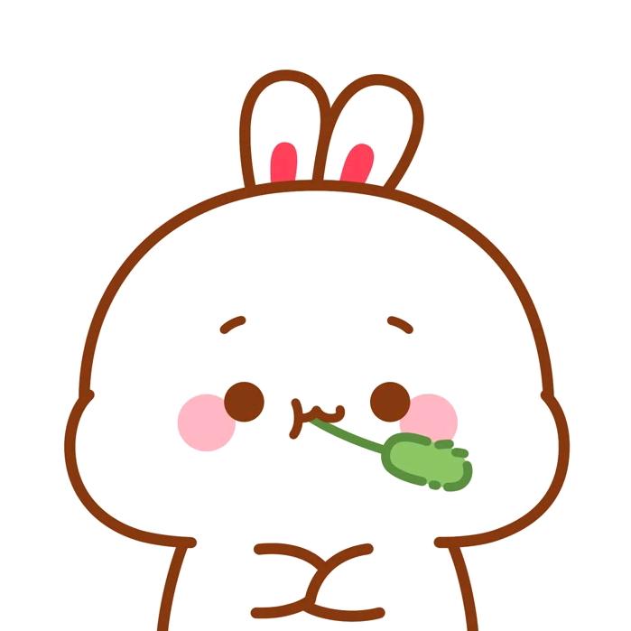 不会飞的兔子