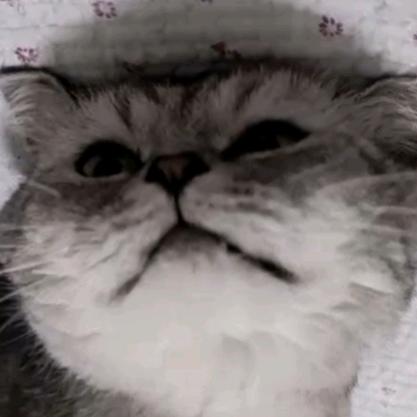 其实我在你背后