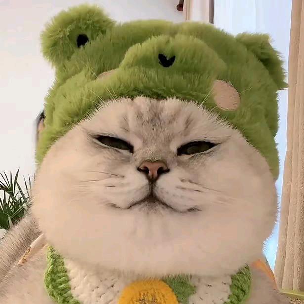 剑网1大潴