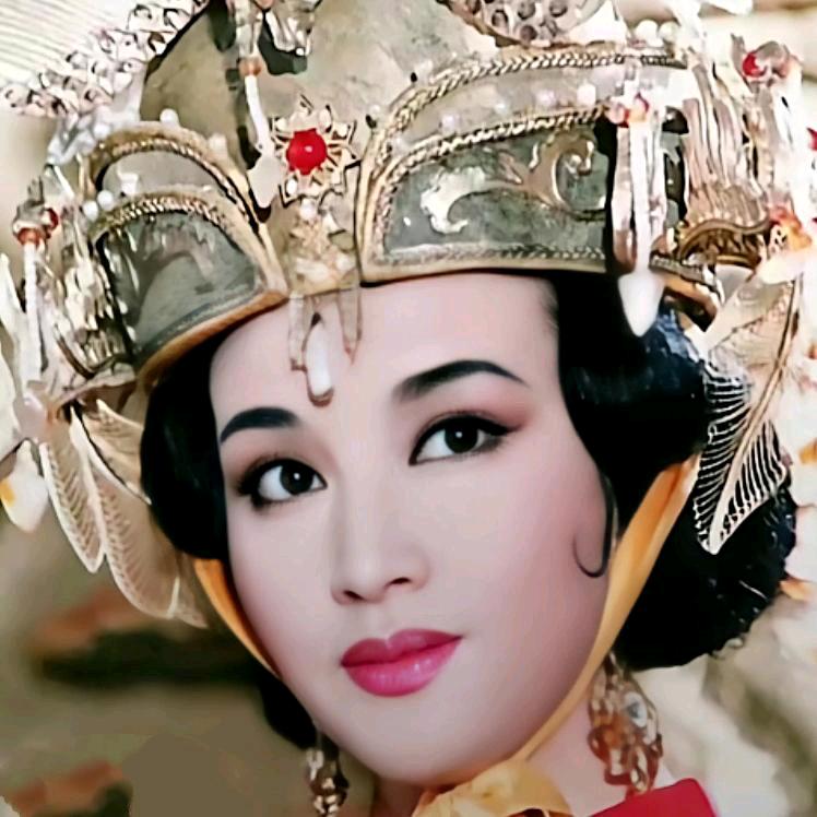 杨姐和狸花猫