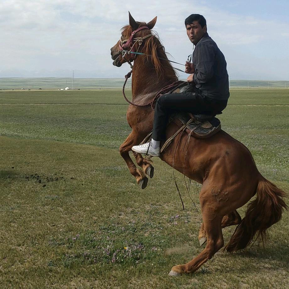 ᎯོŠⅈིkⅈི