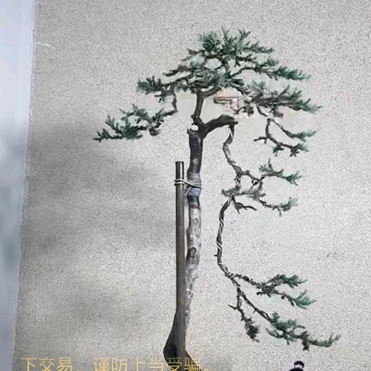 平凡