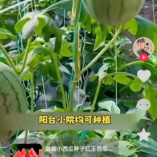 想你