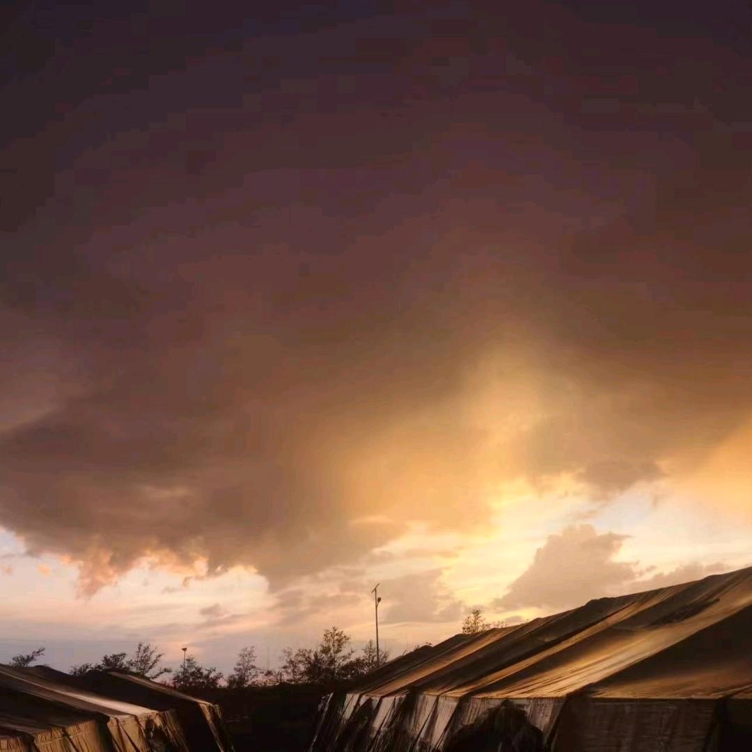 人生若只如初见