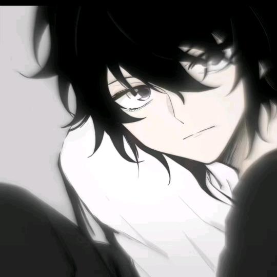 晚风🌙