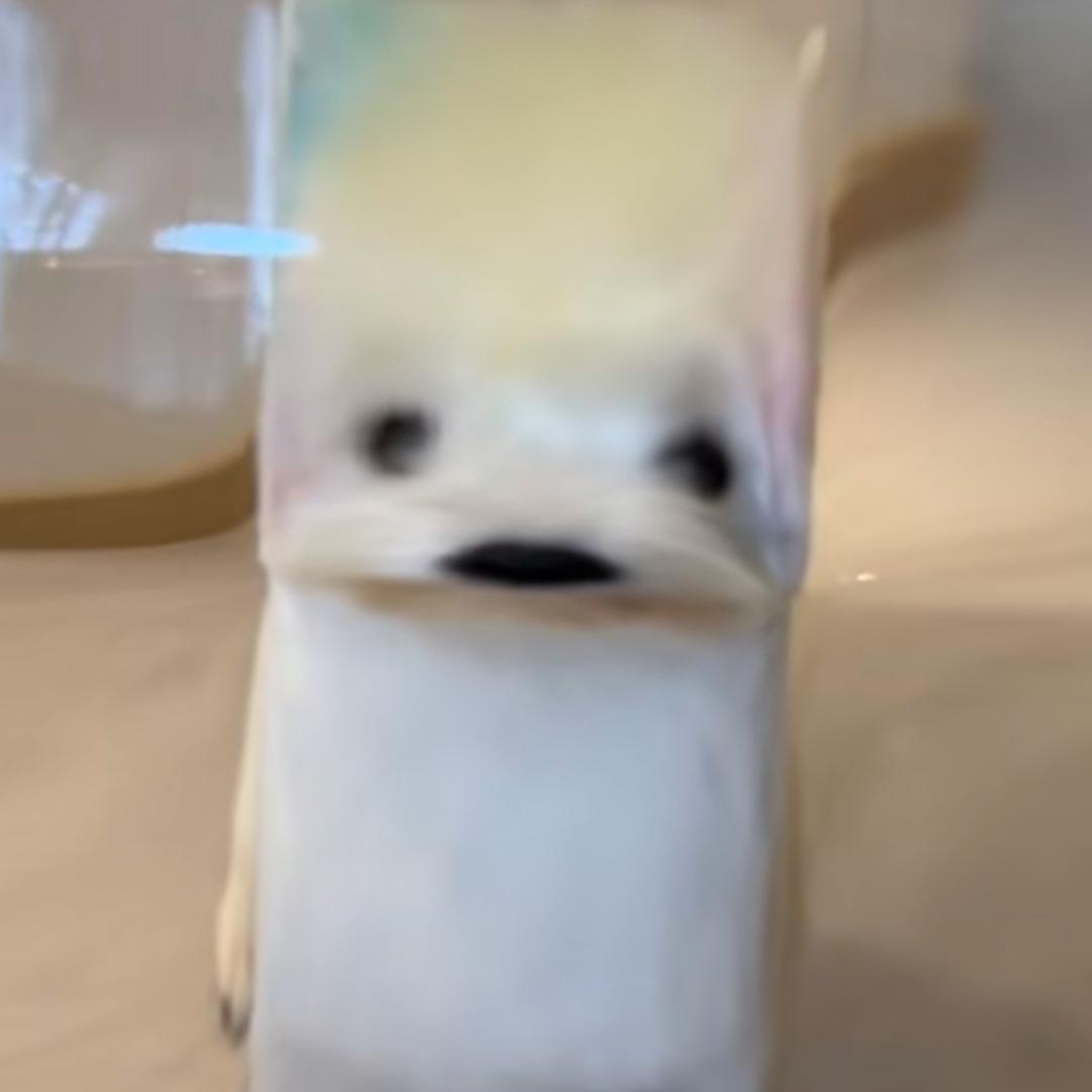 lclnf