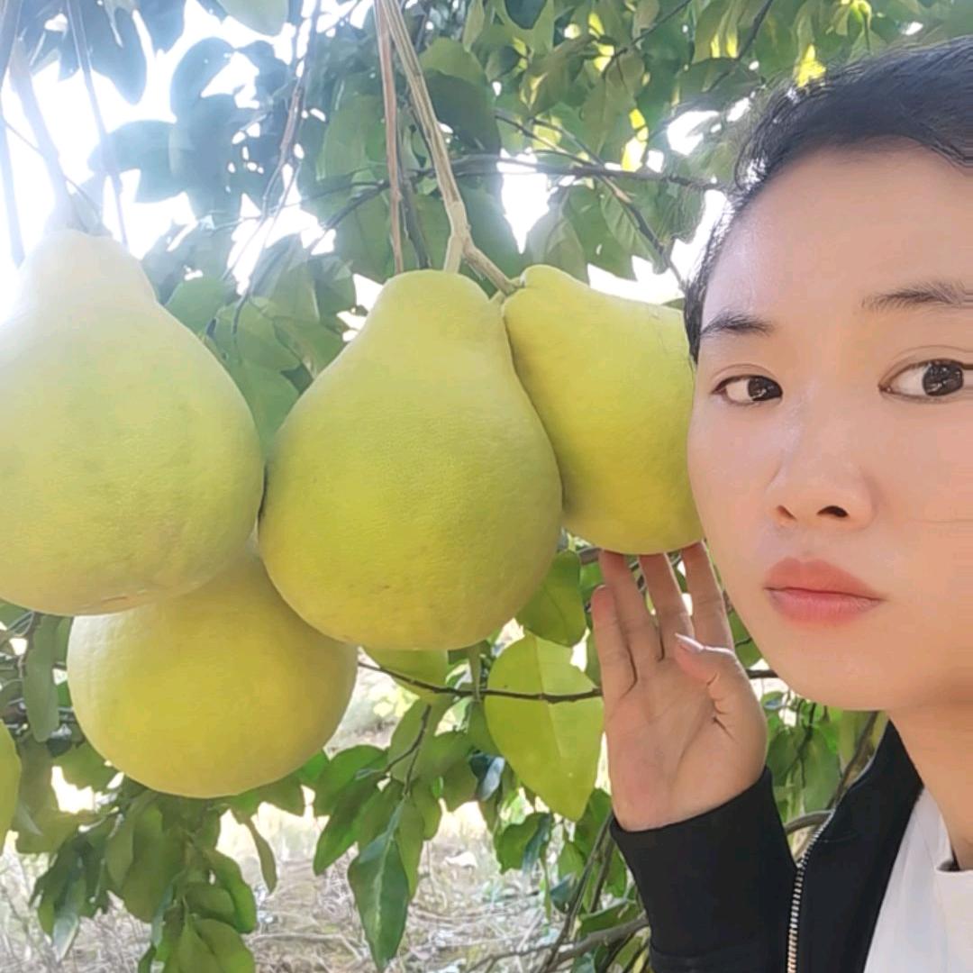 周周农产品