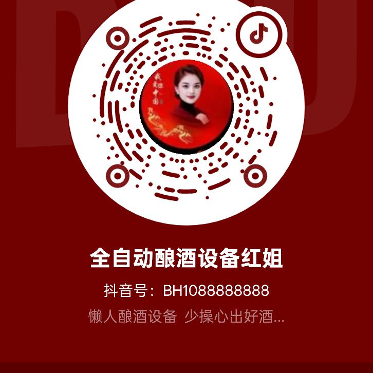 广东益民懒人全自动酿酒设备~小玉