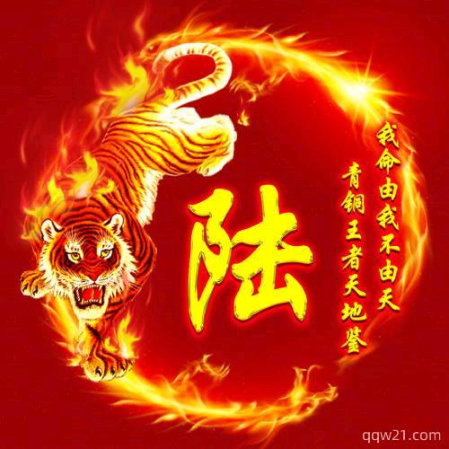 小陆别乱跑