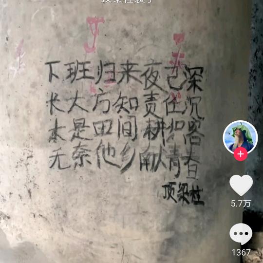 3537用户