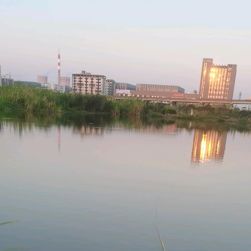 饼干
