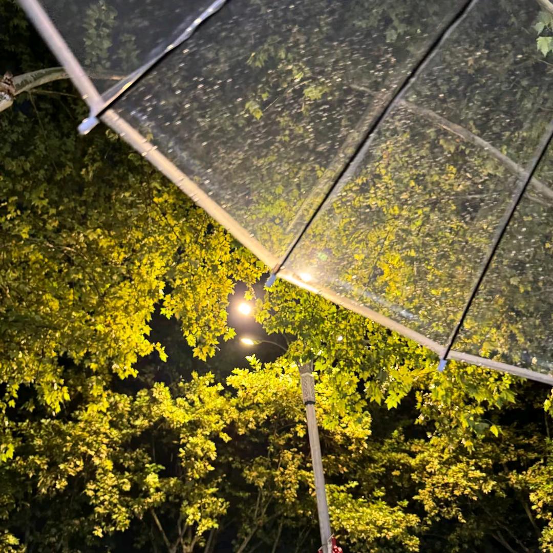 晴天的雨