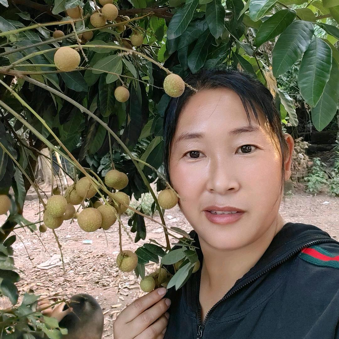 农村琴姐