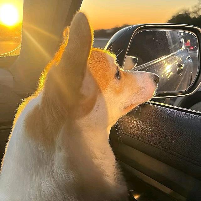 简简单单的小幸福就好