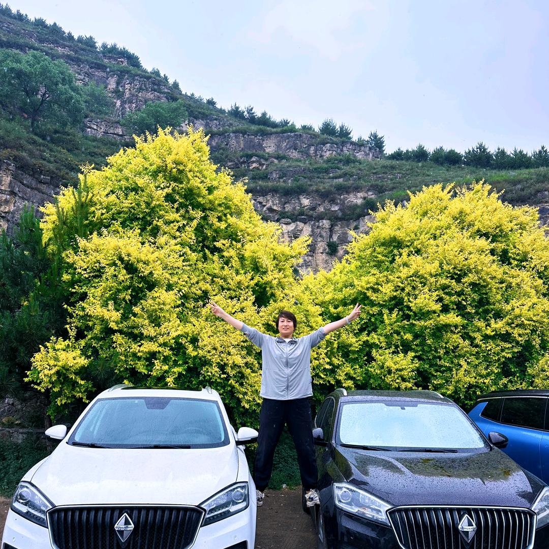 定州静静二手车