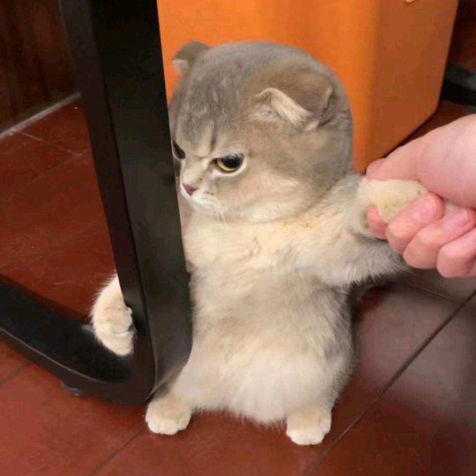 莫过悲伤