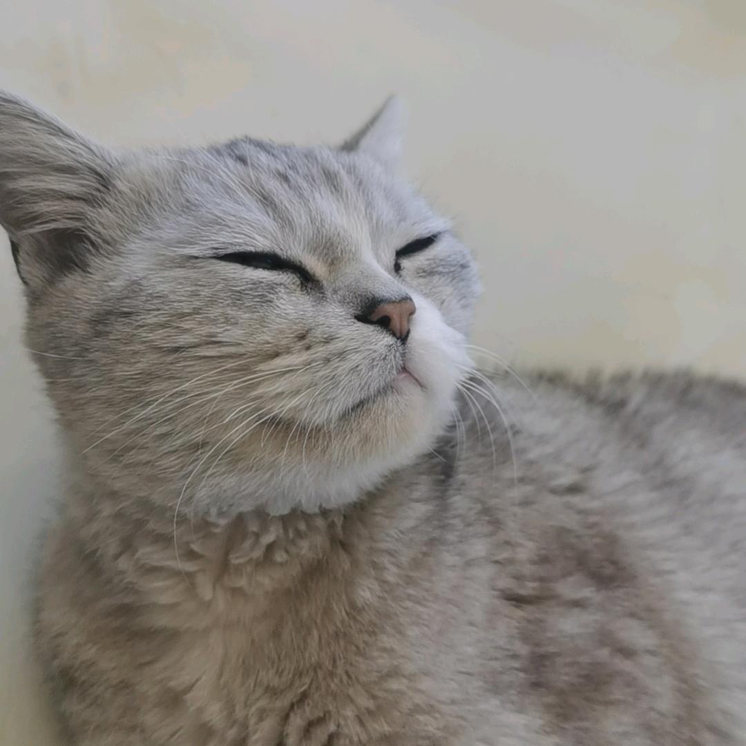 倬妈