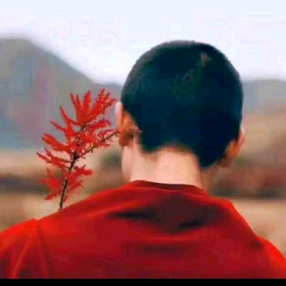 善心对人