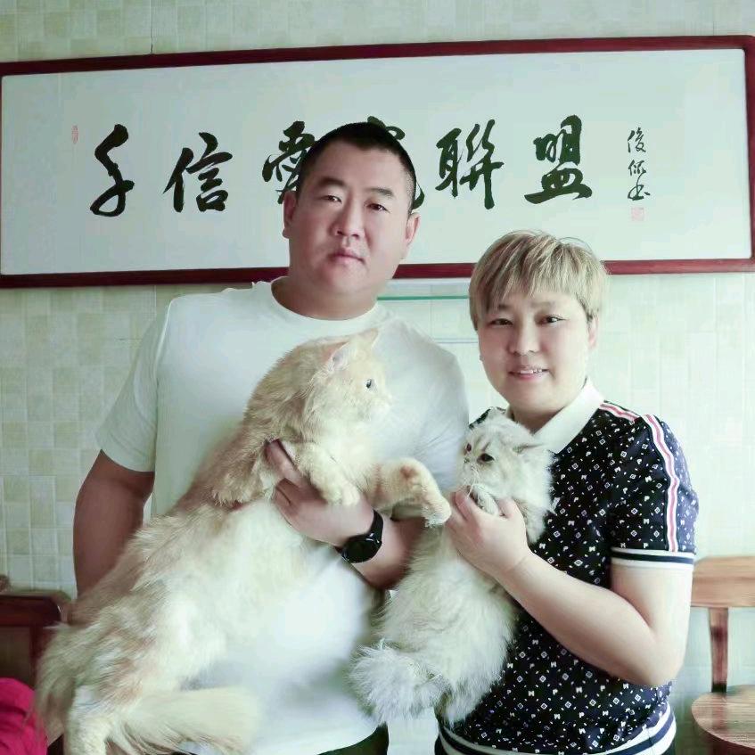 千信宠物（周村吾悦店）