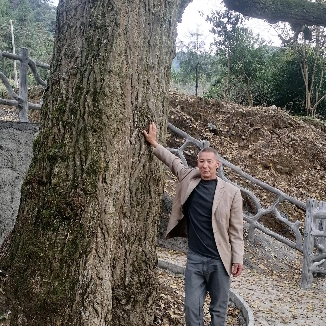 团堡红薯粑粑