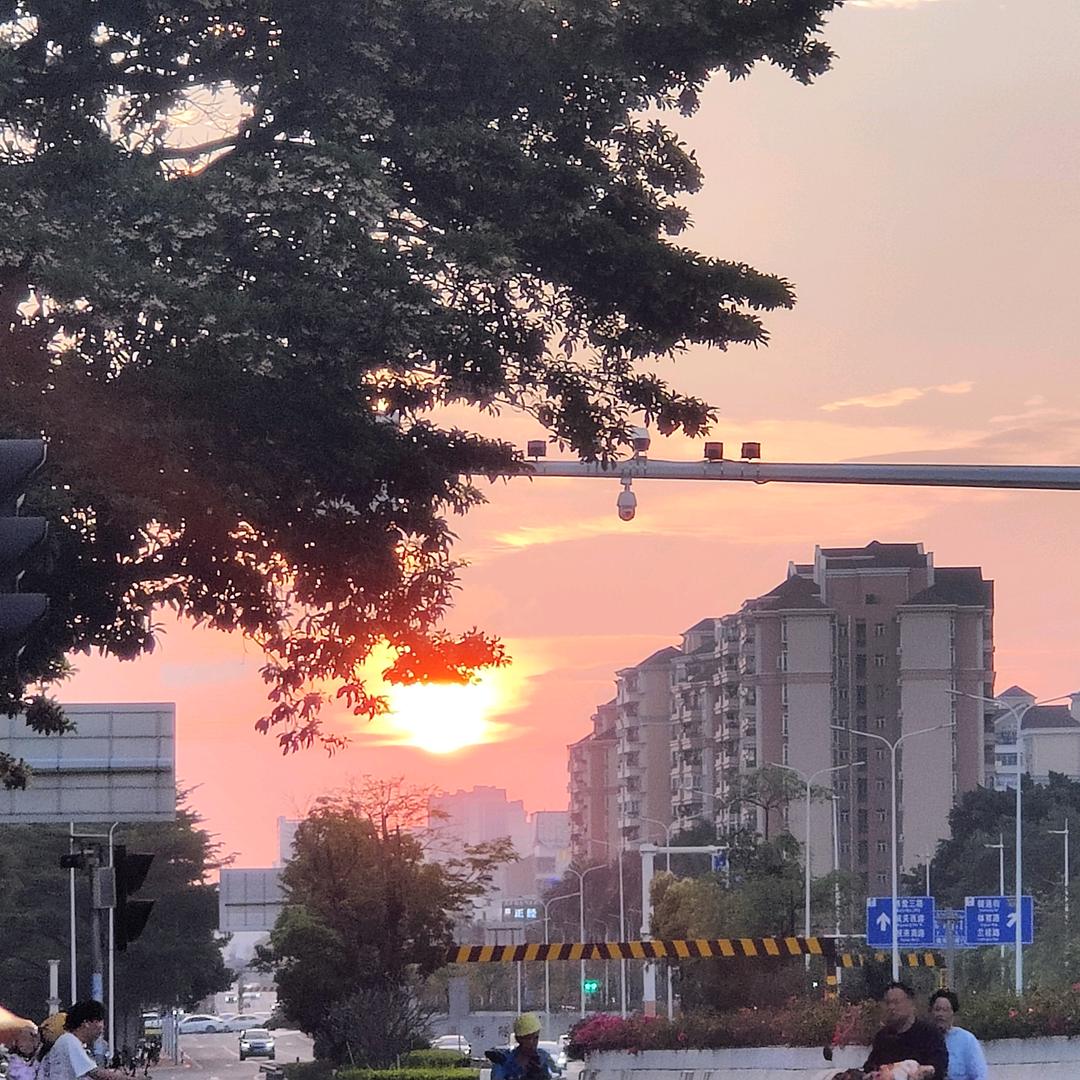 好运降林