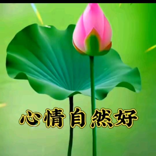 静心：