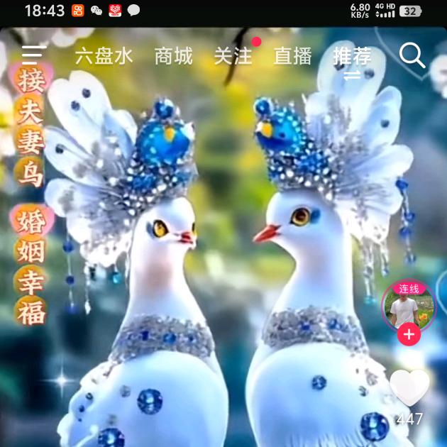 谭1314