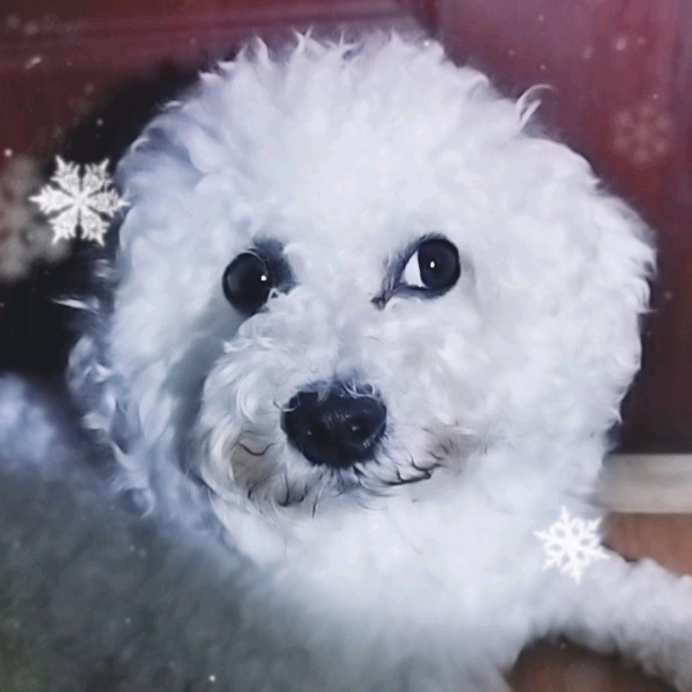 🌸🌸🌸达琳🌸🌸🌸