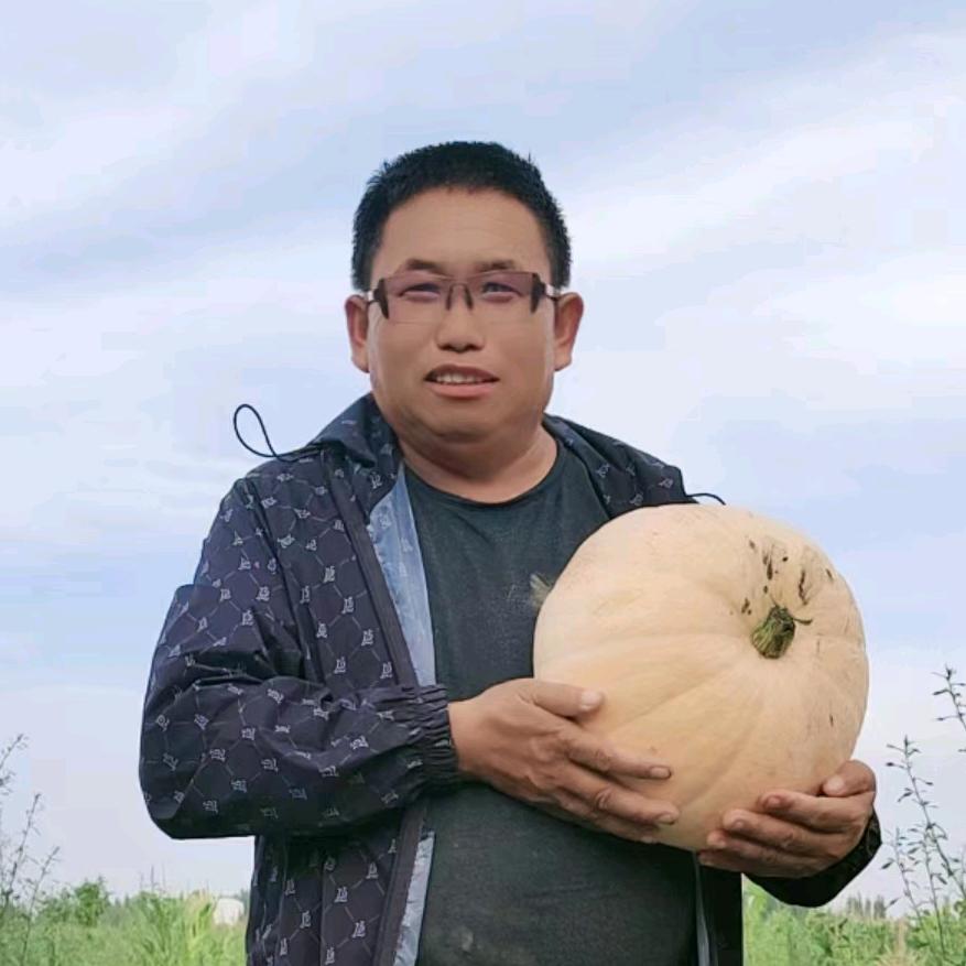 仲维东新疆绿色种植