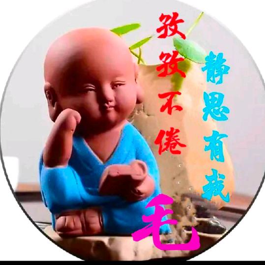 毛头鹰
