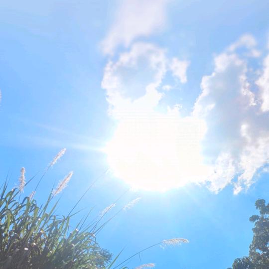 CT.