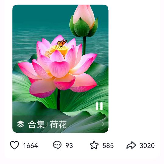 好运年年🌹