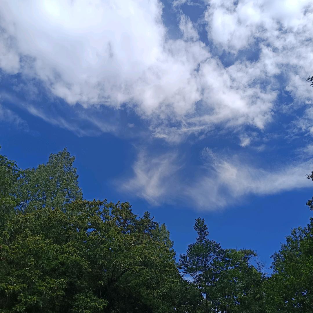 ༂过期♥༃的誓言/༈